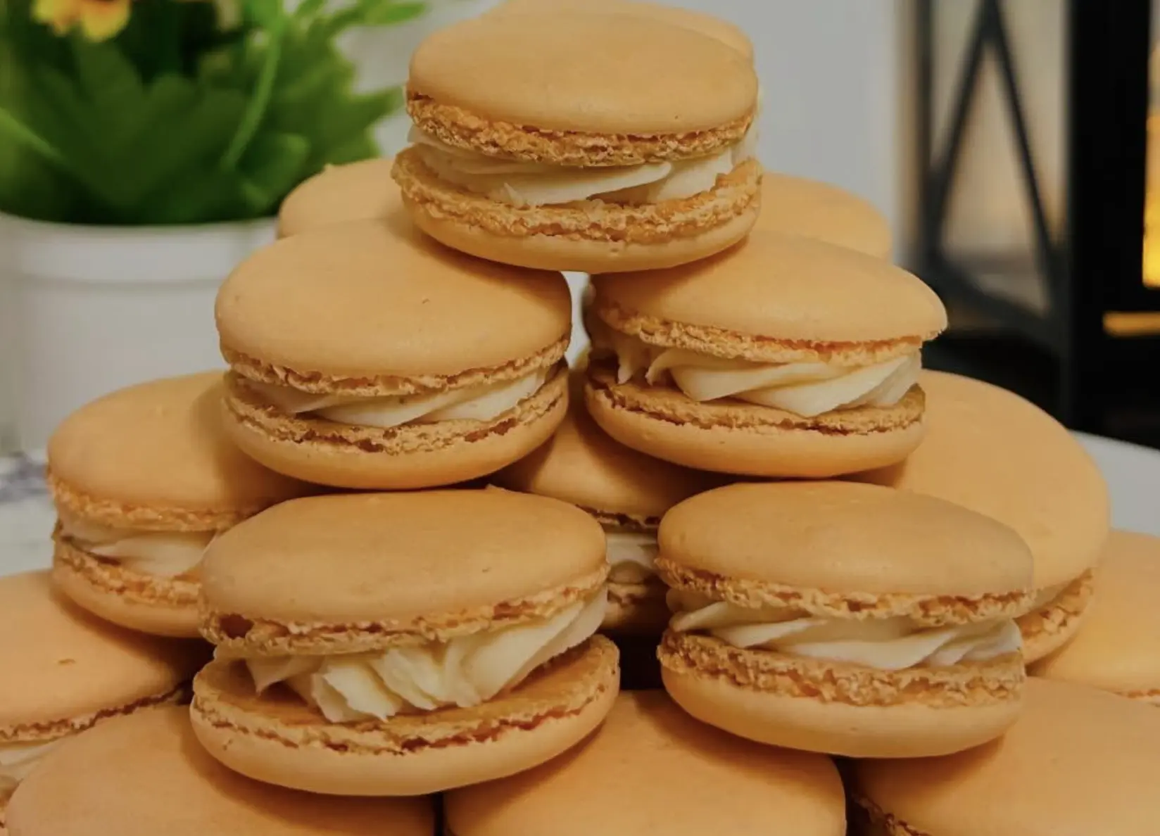 Melon Macarons